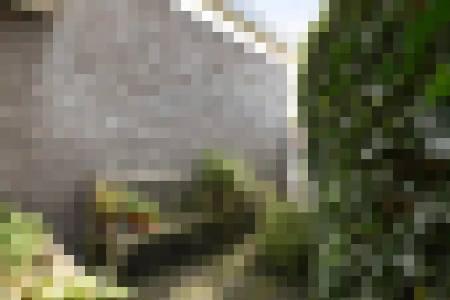 Dassenberg 1 Waalre thumbnail 36