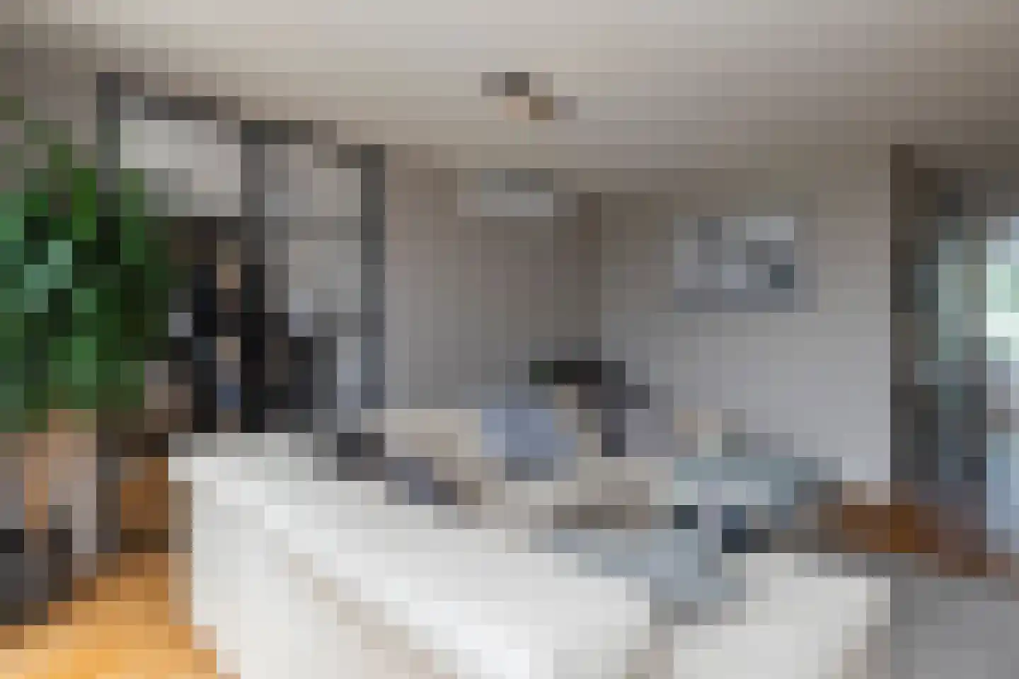 Dassenberg 44 Rijswijk thumbnail 18