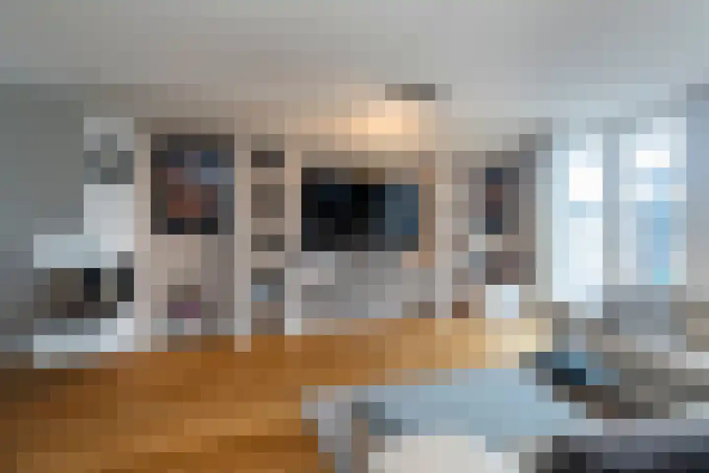 Dassenberg 44 Rijswijk thumbnail 20