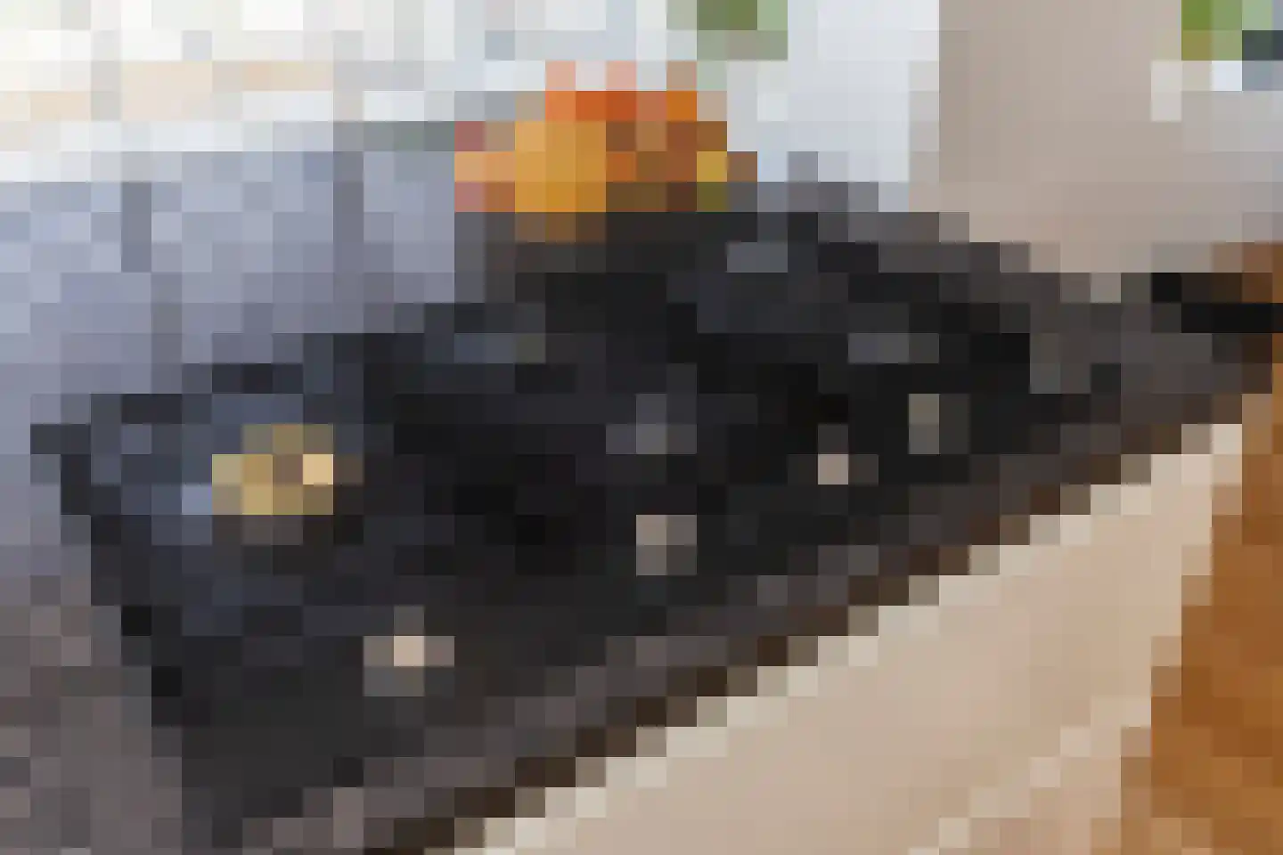Dassenberg 44 Rijswijk thumbnail 21