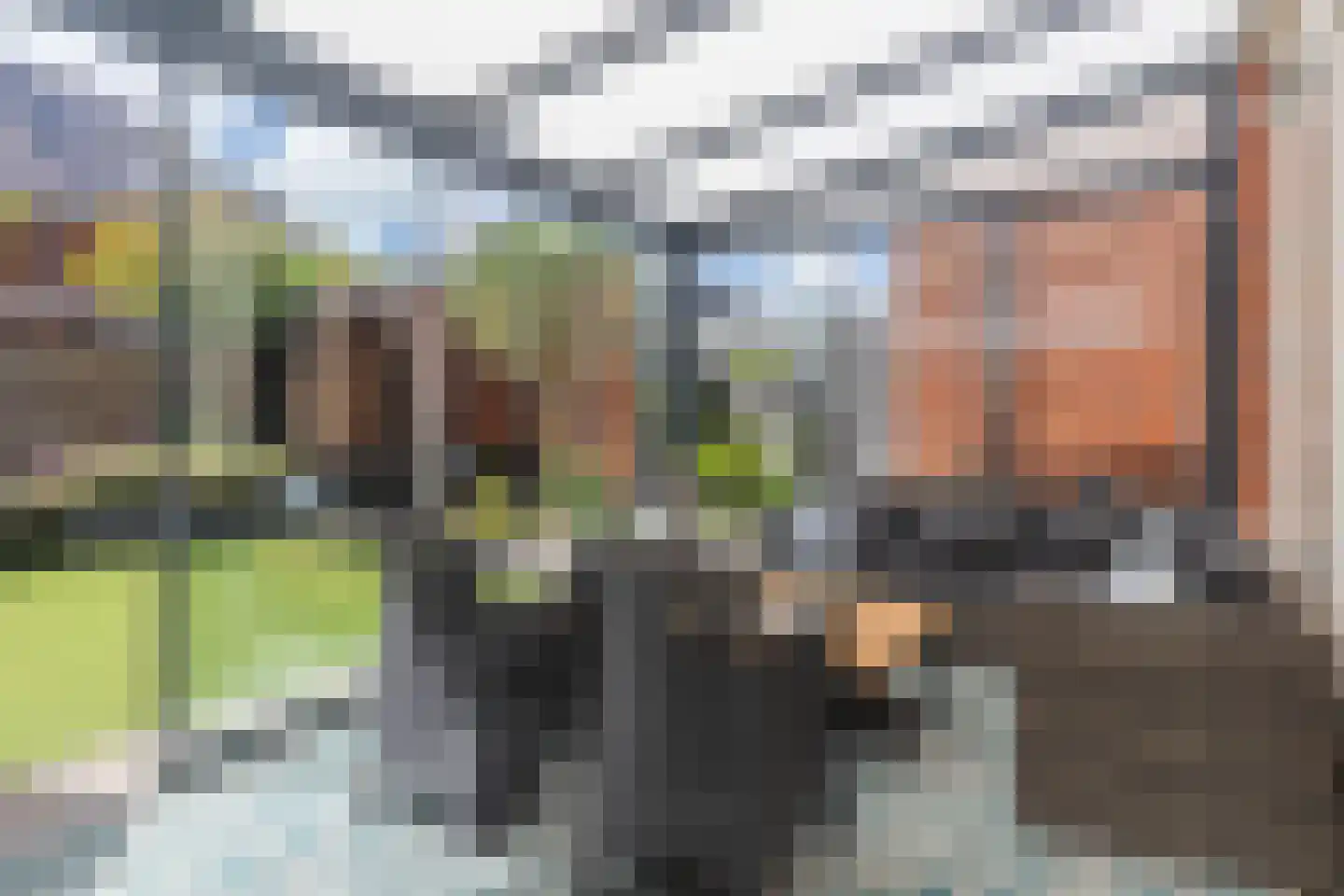 Dassenberg 44 Rijswijk thumbnail 23