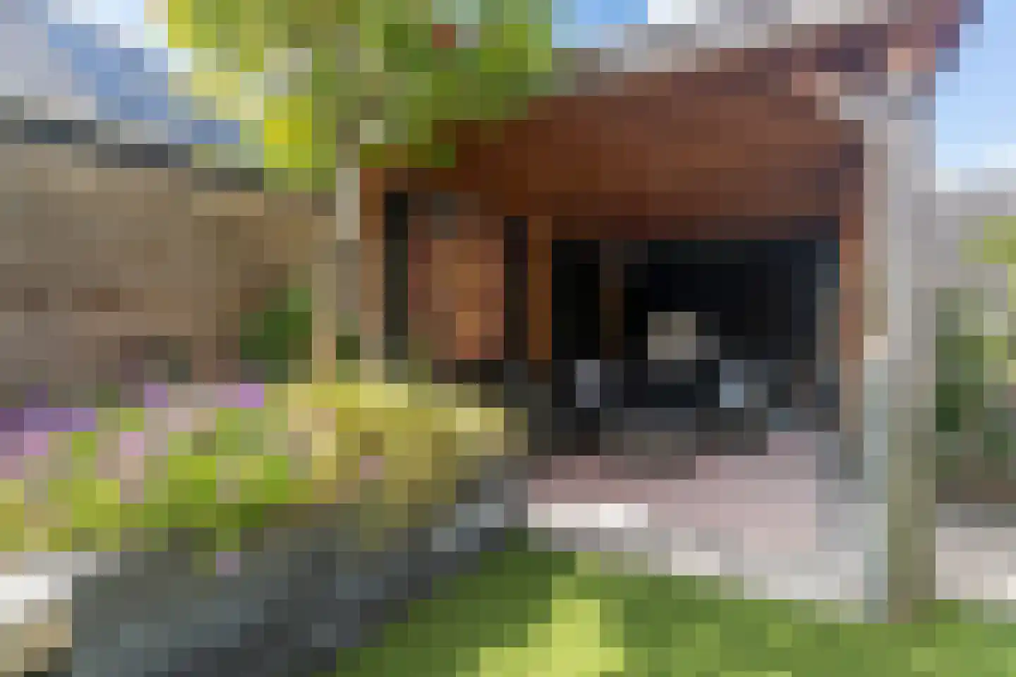 Dassenberg 44 Rijswijk thumbnail 25