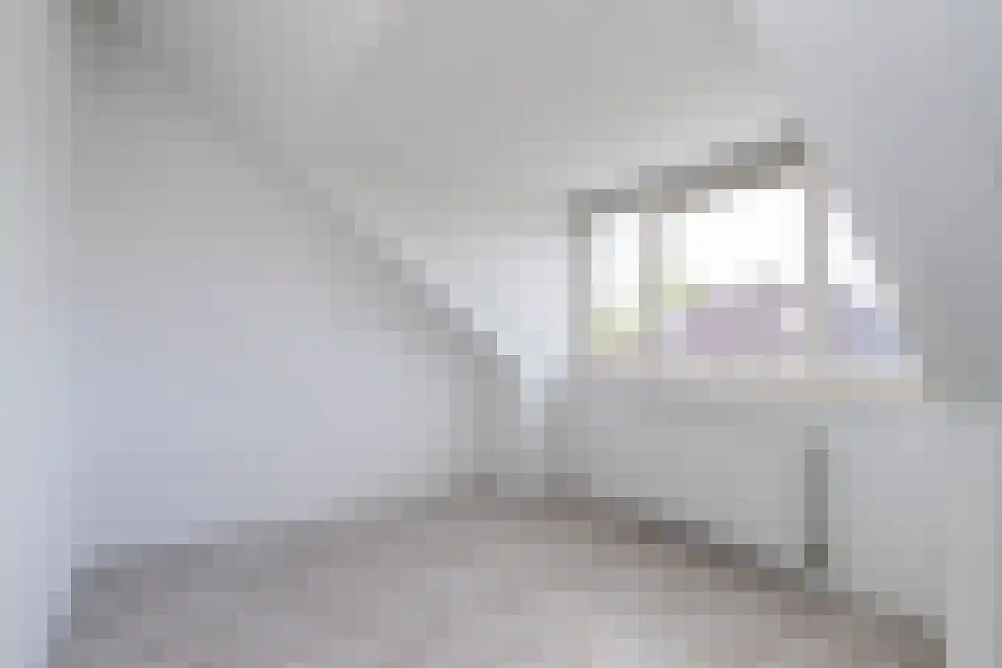 Dassenberg 44 Rijswijk thumbnail 27