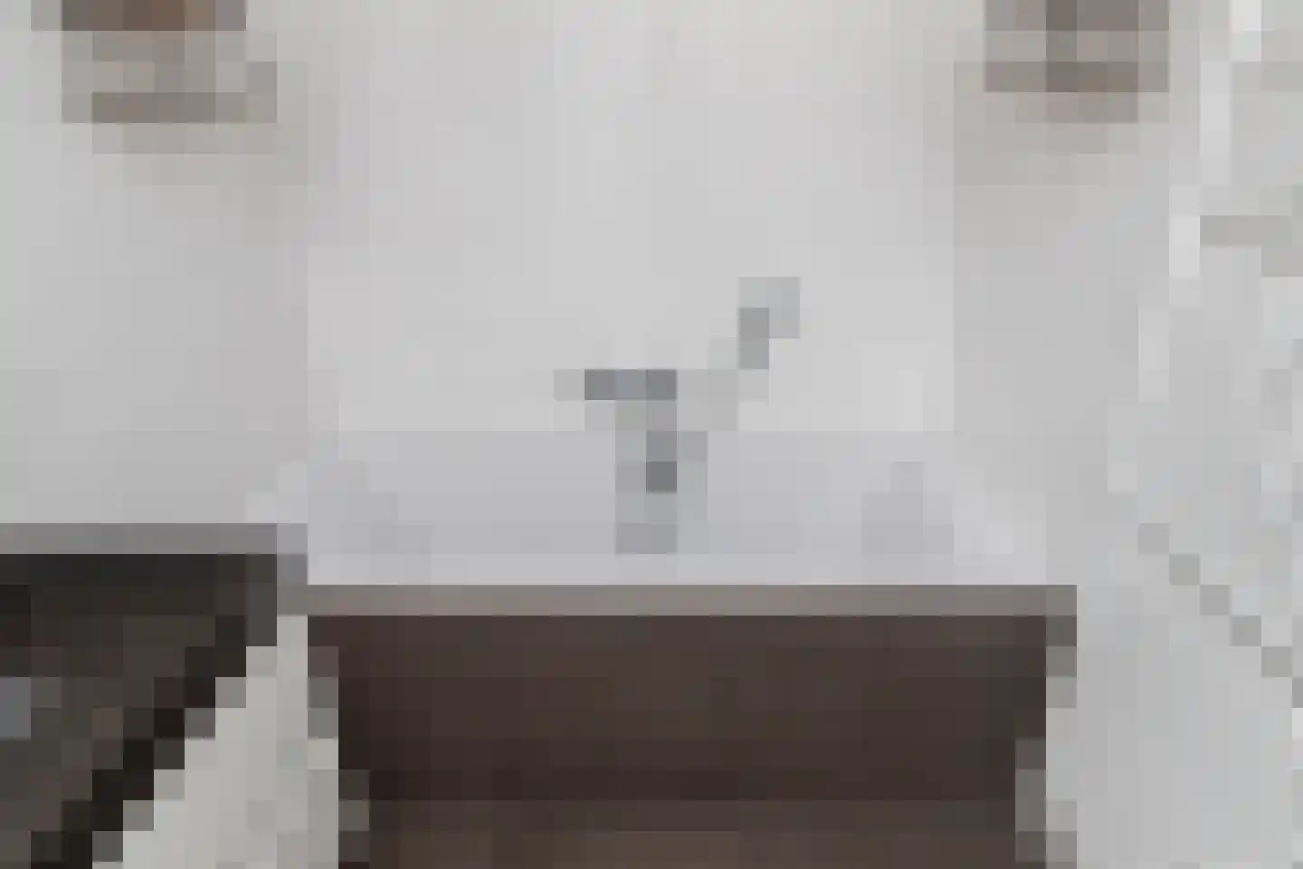Dassenberg 44 Rijswijk thumbnail 34