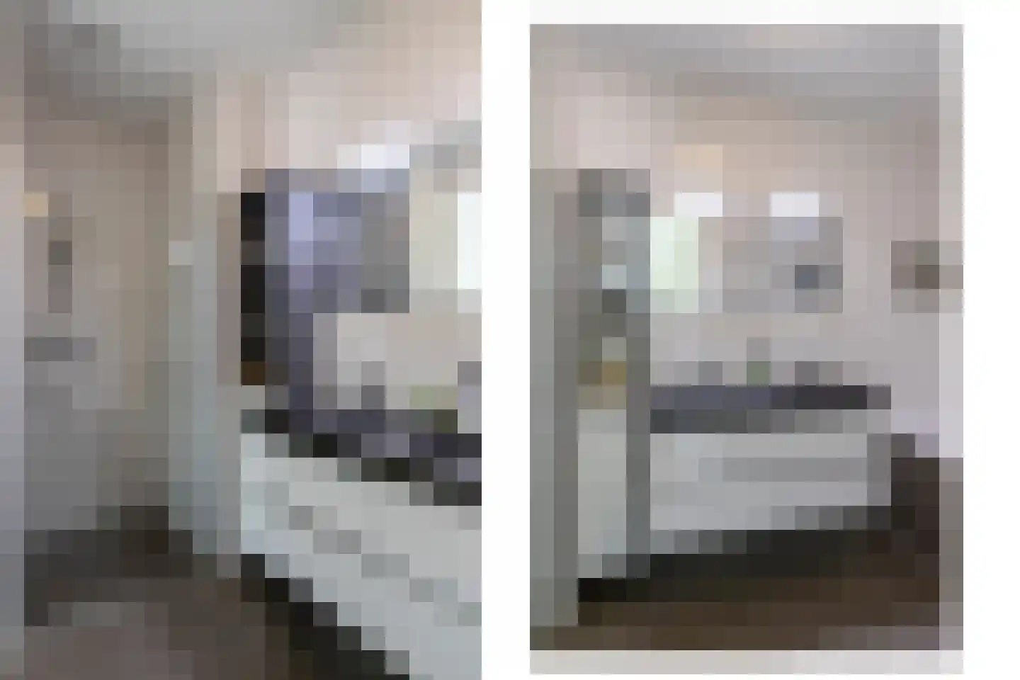 Dassenberg 44 Rijswijk thumbnail 4