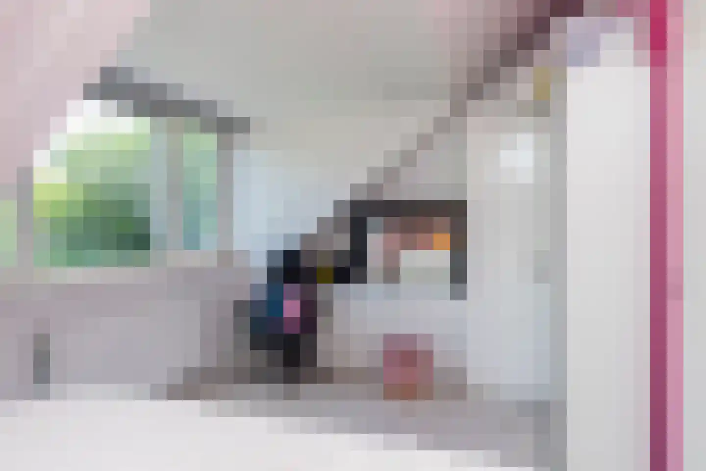Dassenberg 44 Rijswijk thumbnail 40