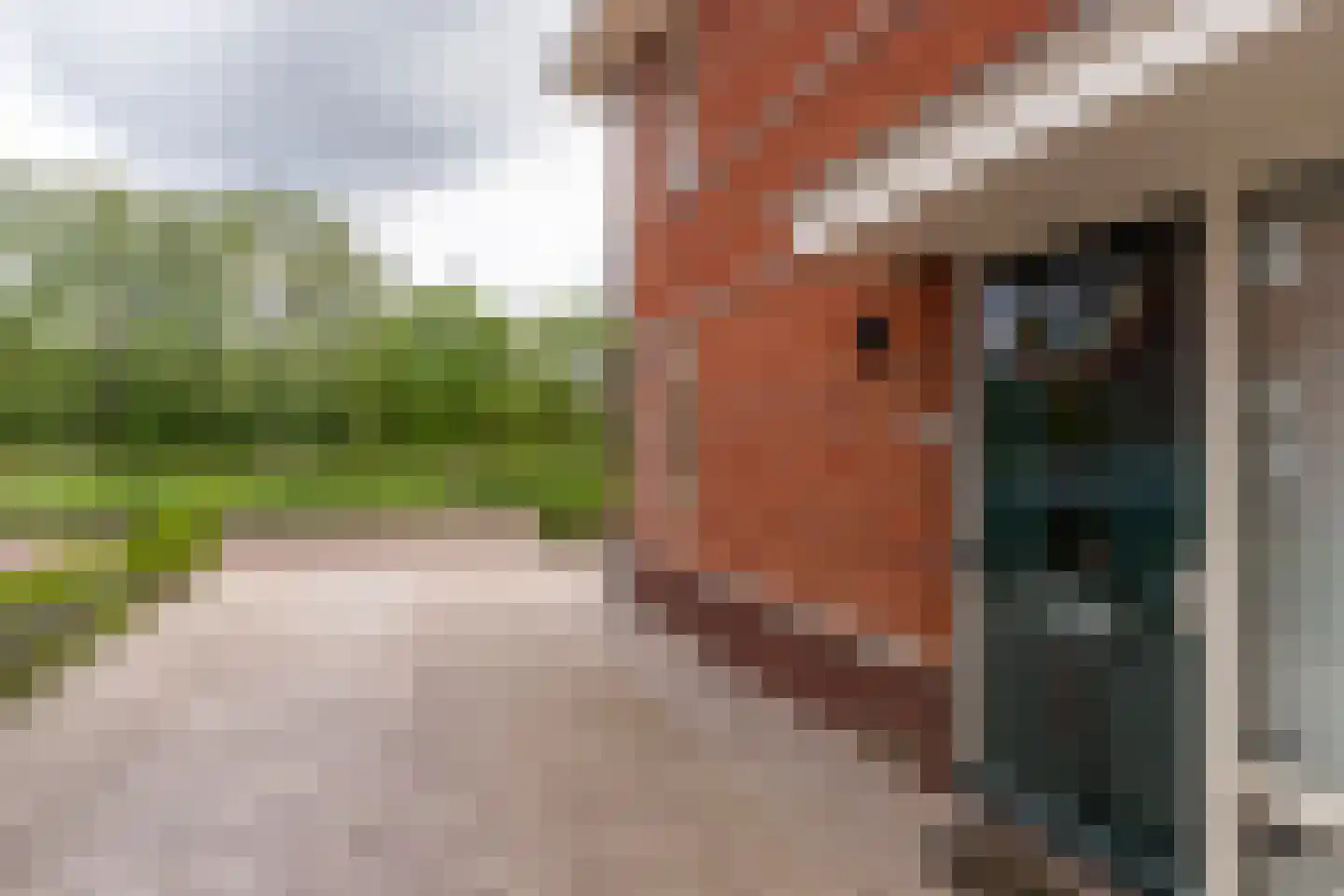 Dassenberg 44 Rijswijk thumbnail 45