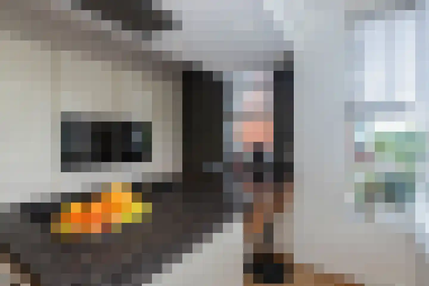 Dassenberg 44 Rijswijk thumbnail 9