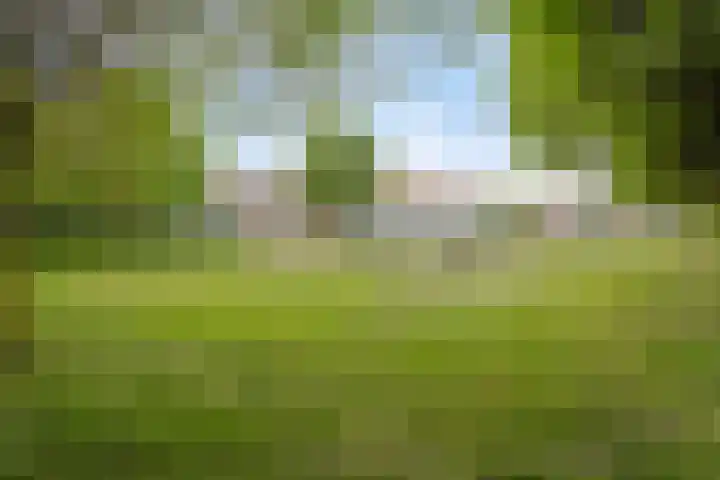 Dassenberg 88 Amersfoort thumbnail 19