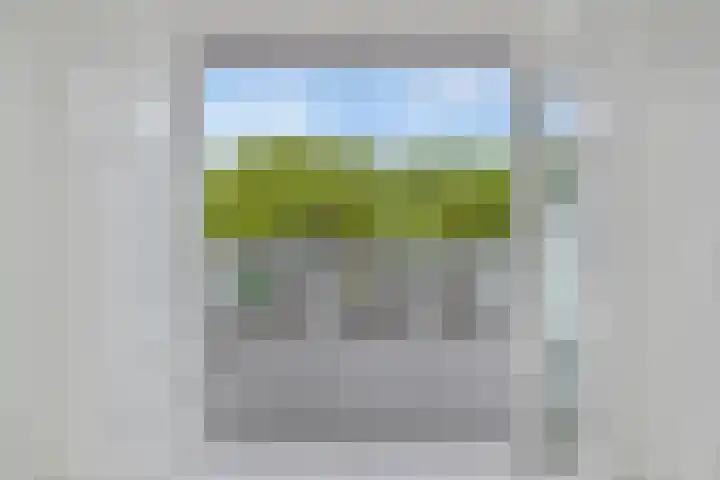Dassenberg 88 Amersfoort thumbnail 7