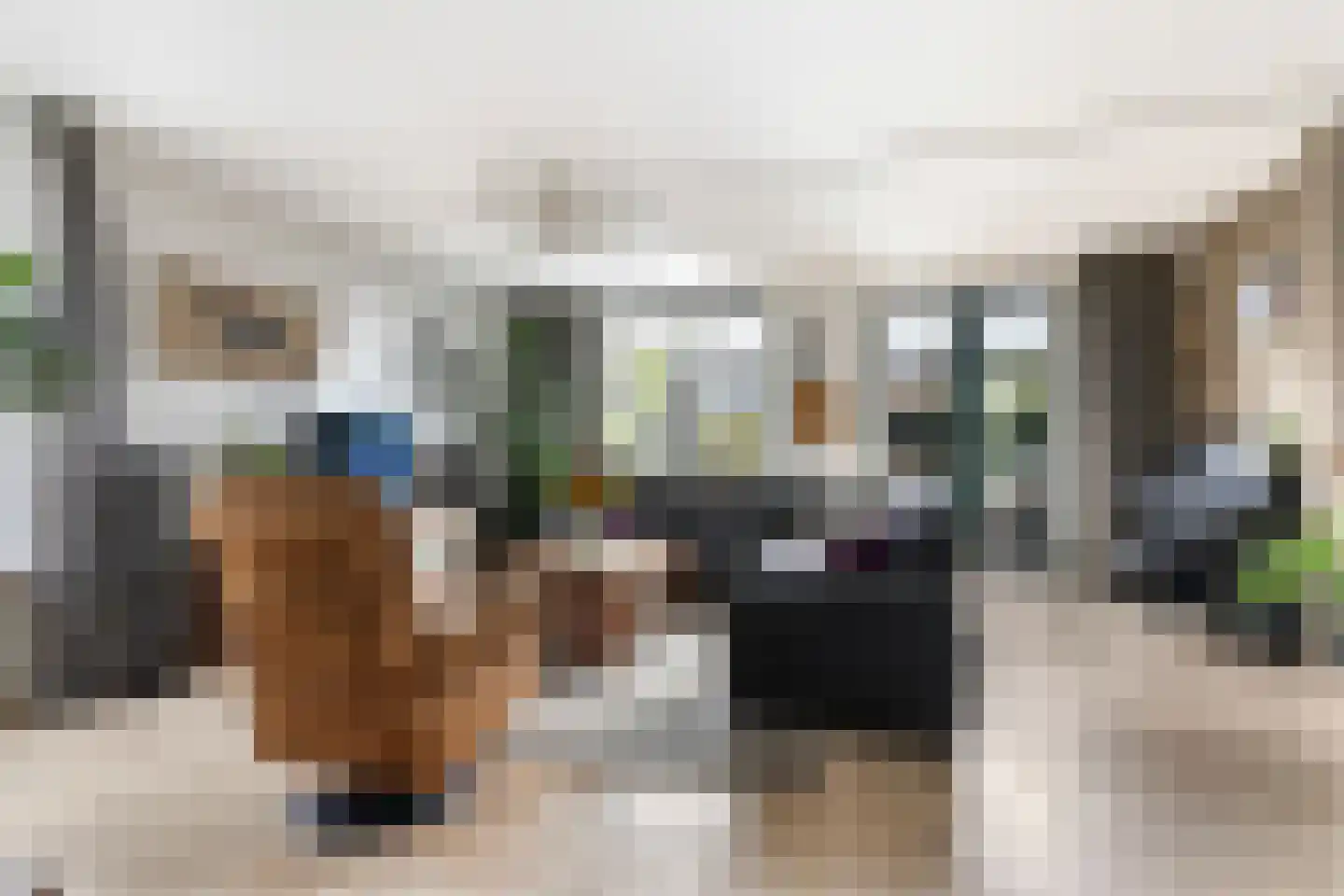 Dassenbergerhout 23 Harderwijk thumbnail 12