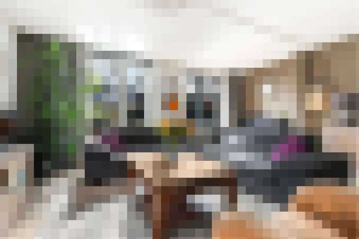 Dassenbergerhout 23 Harderwijk thumbnail 13