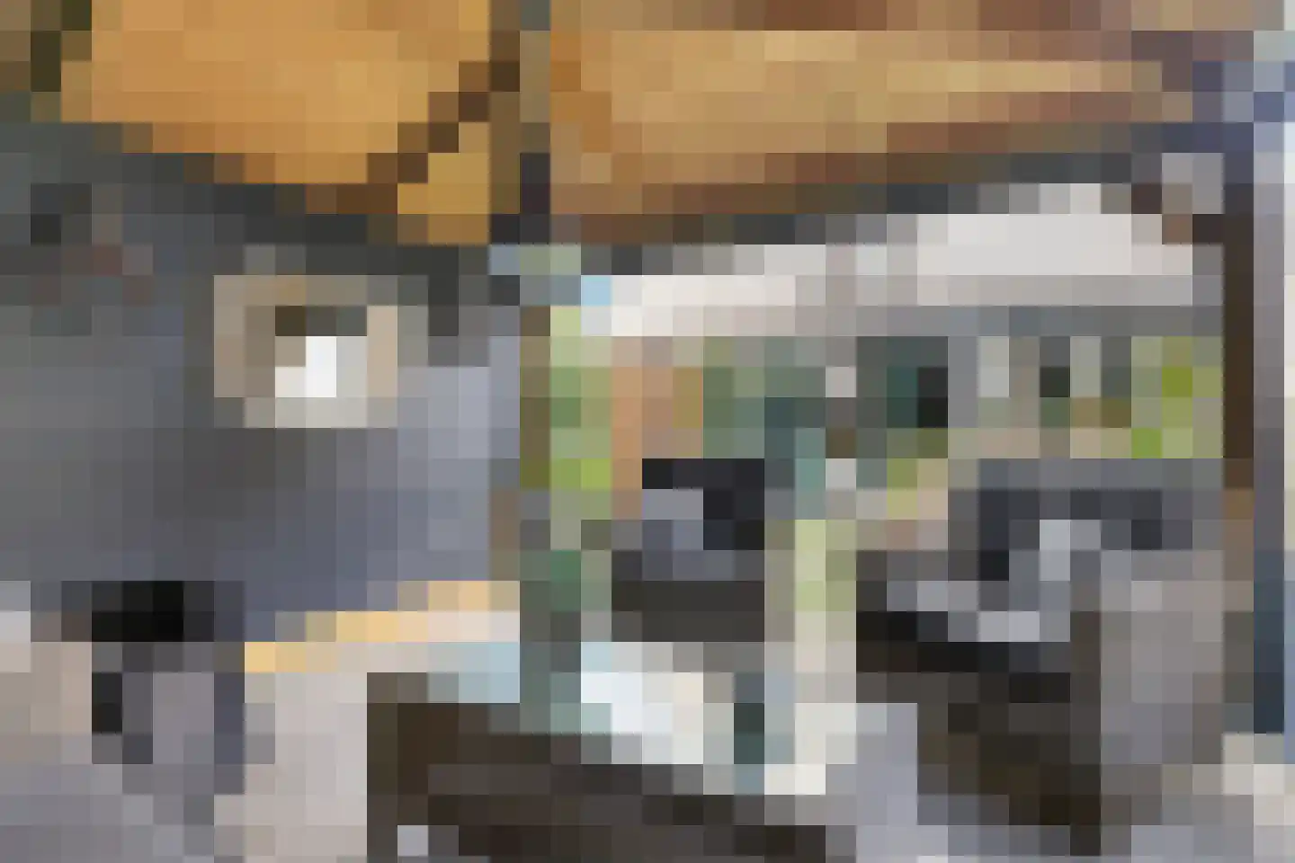 Dassenbergerhout 23 Harderwijk thumbnail 33
