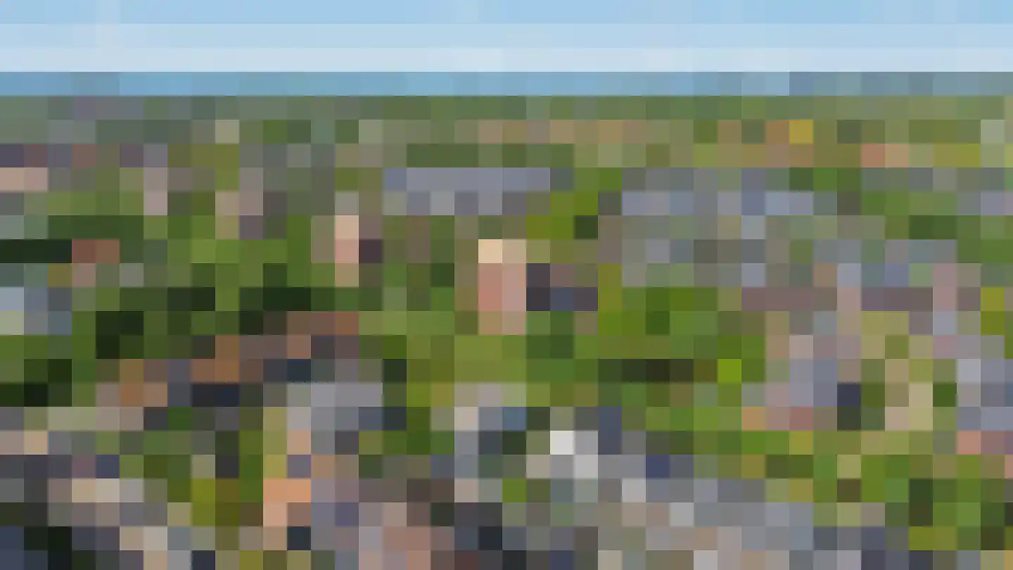 Dassenbergerhout 23 Harderwijk thumbnail 38