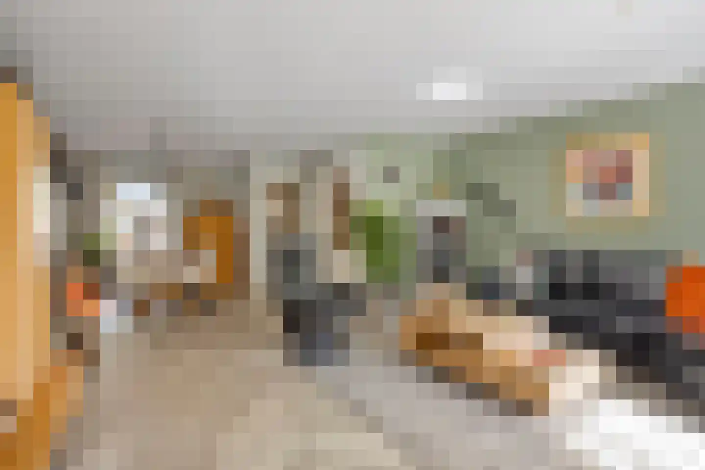Dassenbos 163 Hoofddorp thumbnail 13