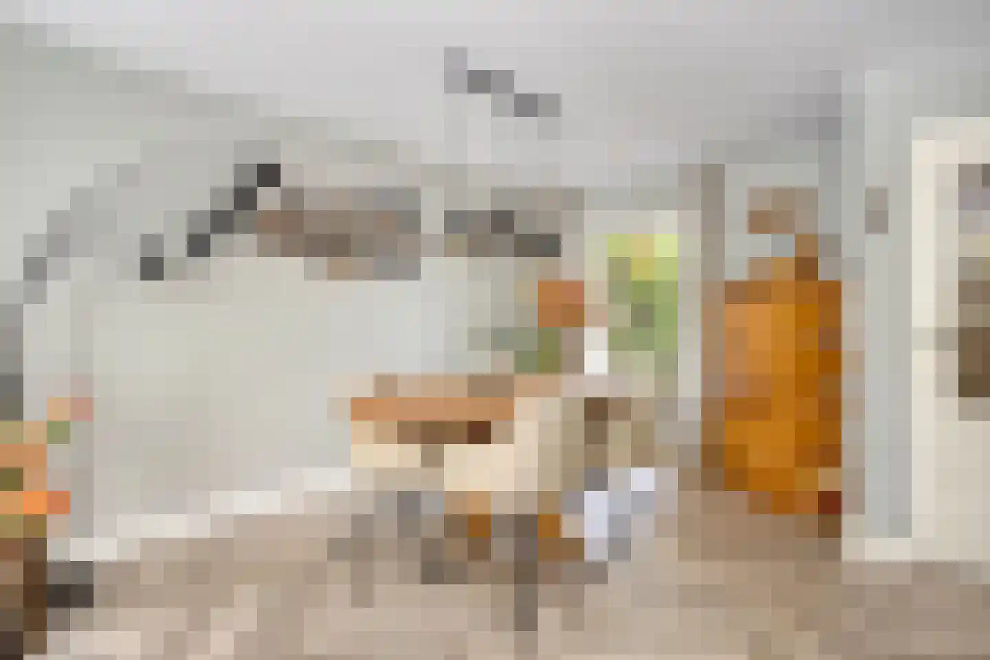Dassenbos 163 Hoofddorp thumbnail 14