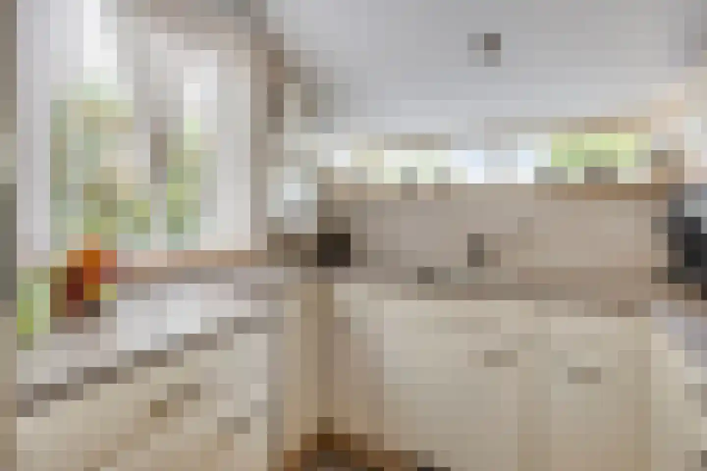 Dassenbos 163 Hoofddorp thumbnail 18