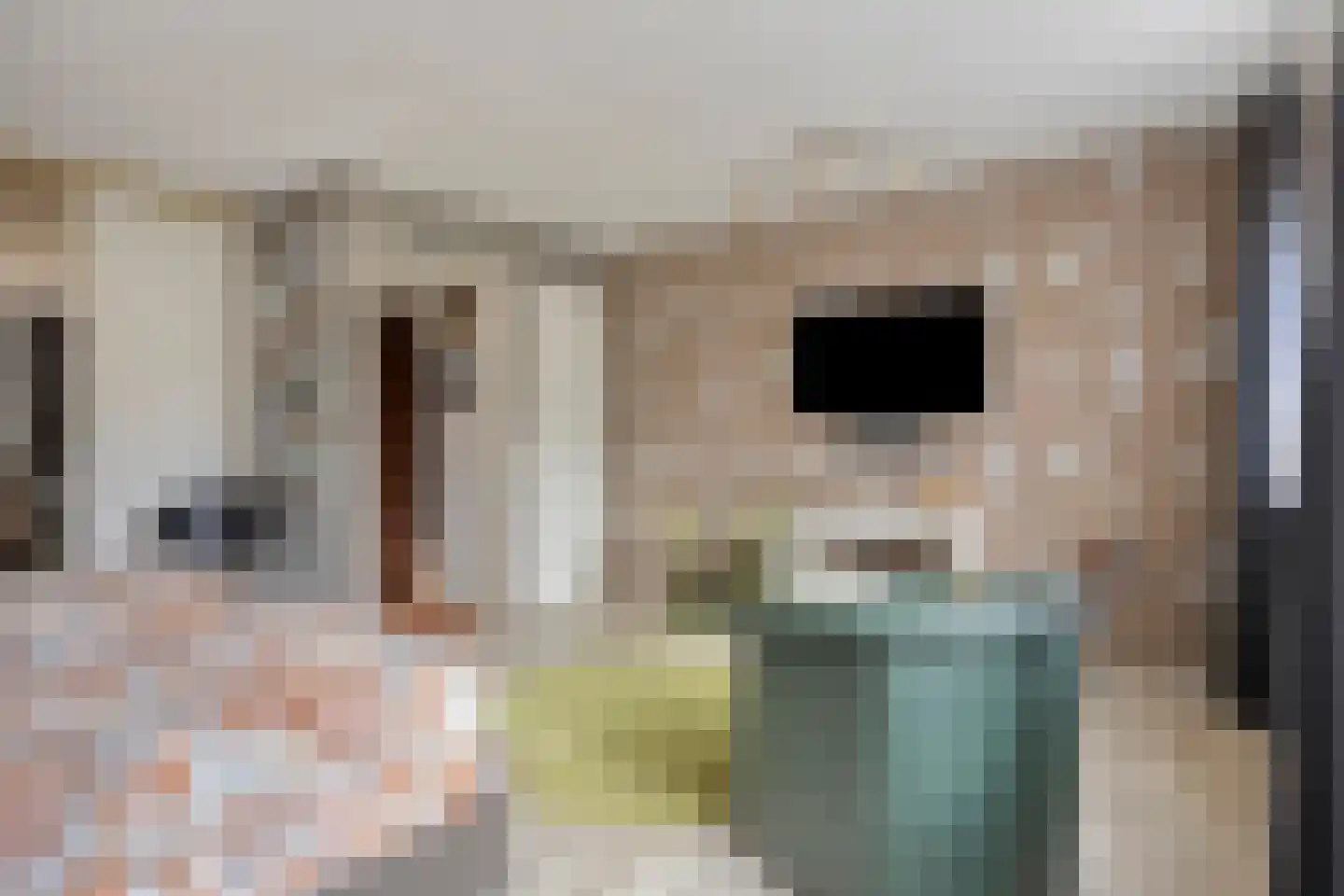 Dassenbos 163 Hoofddorp thumbnail 22