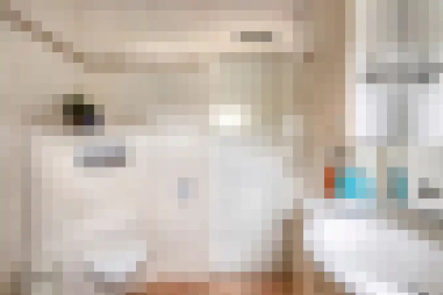 Dassenbos 163 Hoofddorp thumbnail 25