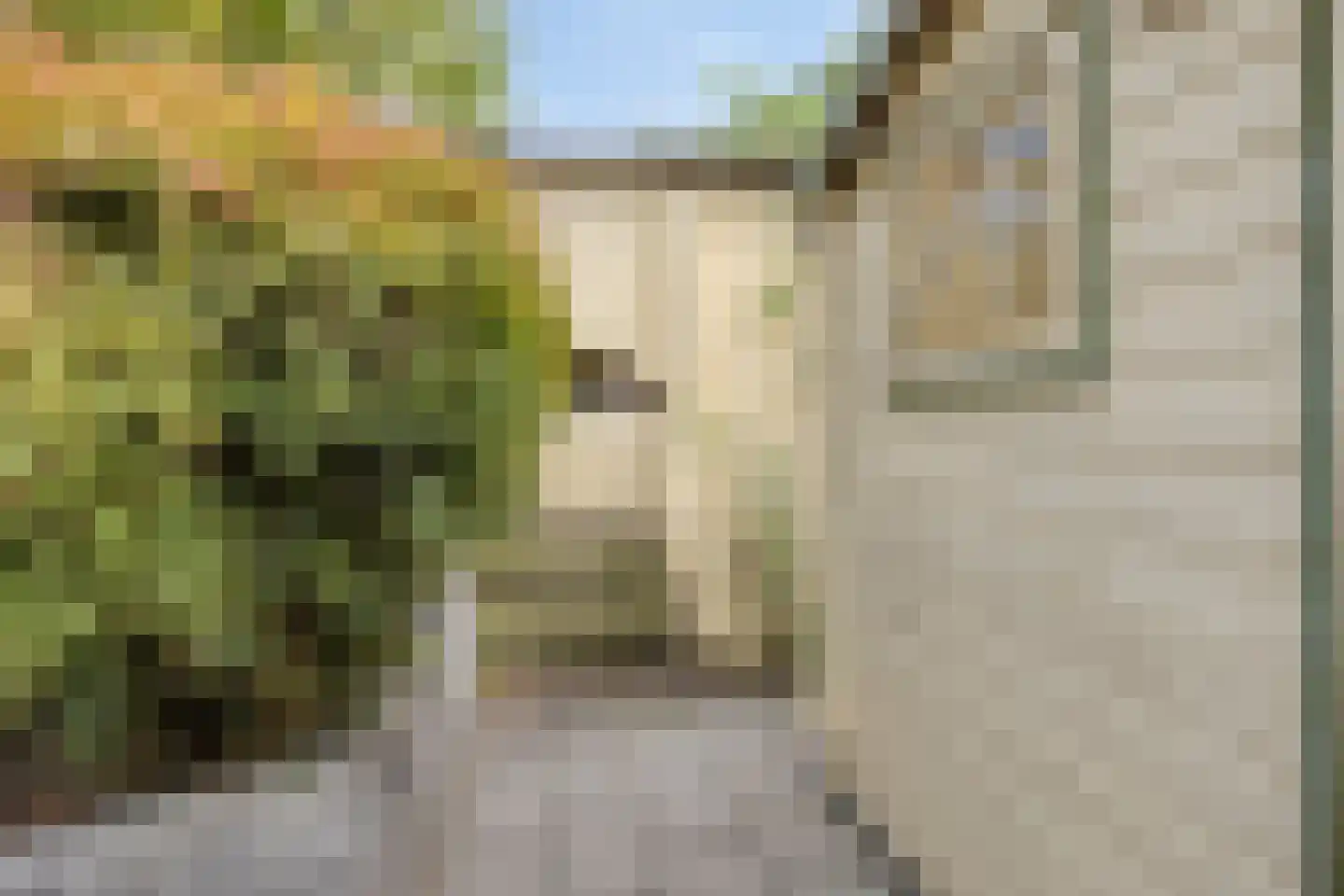 Dassenbos 163 Hoofddorp thumbnail 32