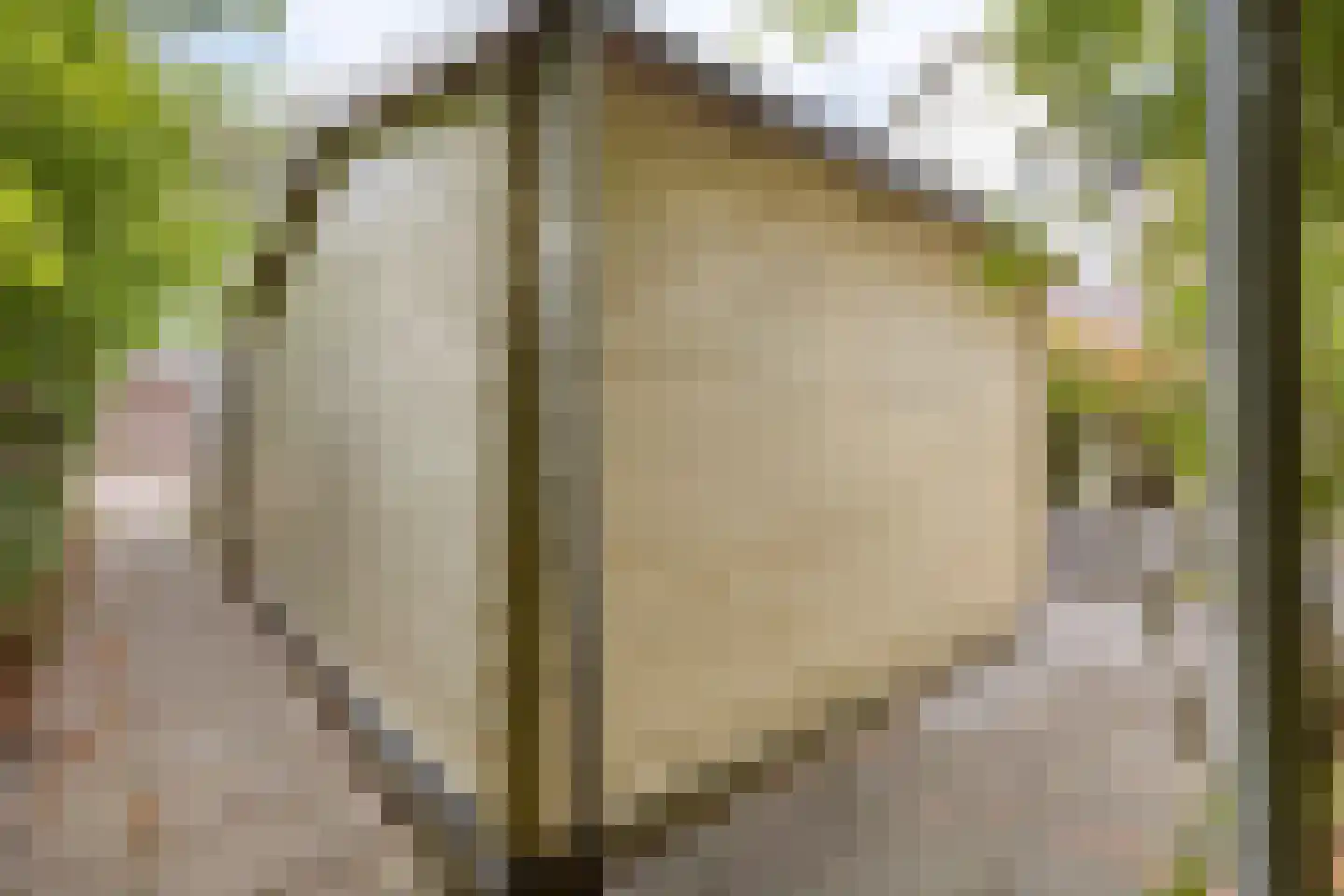 Dassenbos 163 Hoofddorp thumbnail 33