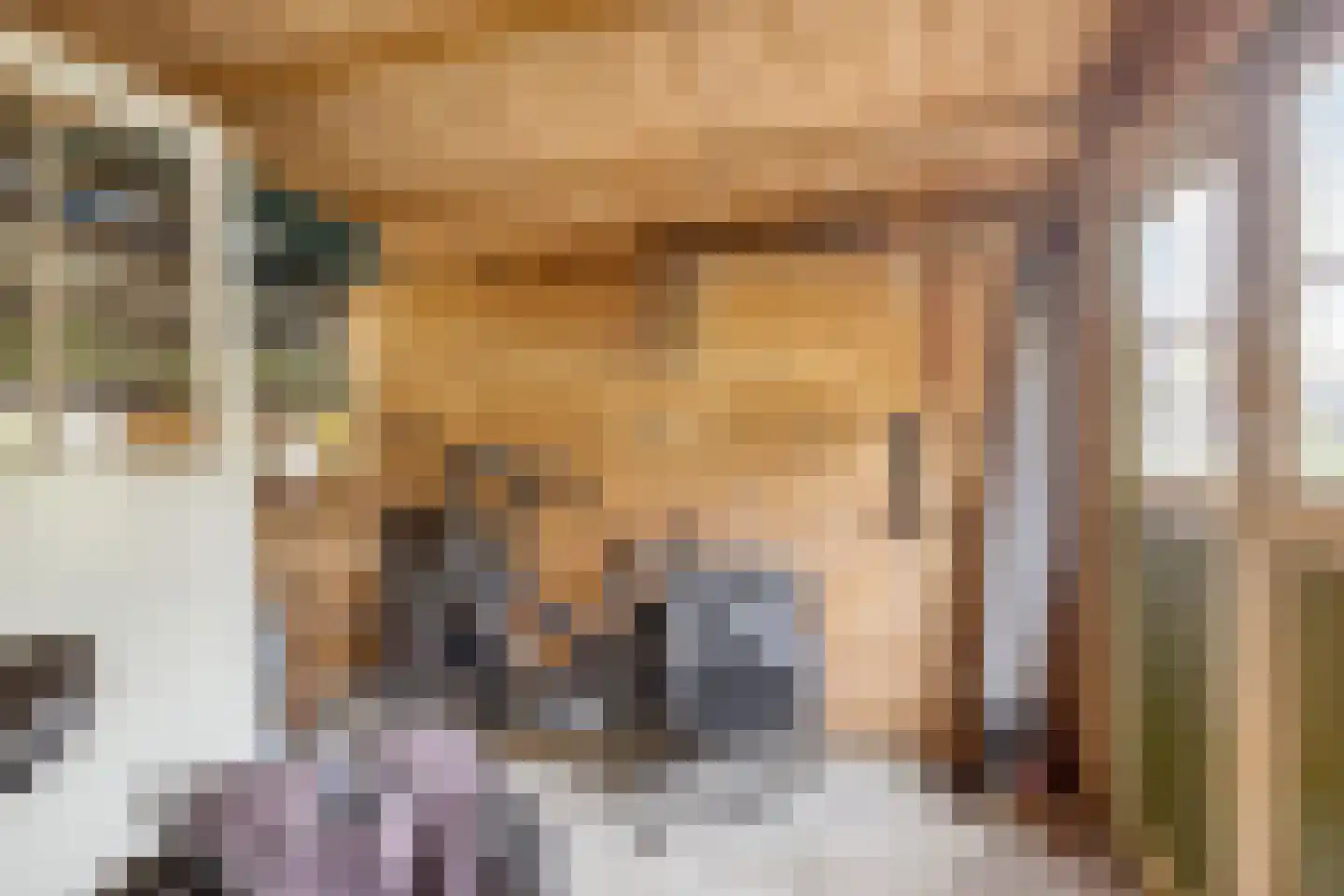 Dassenbos 163 Hoofddorp thumbnail 36