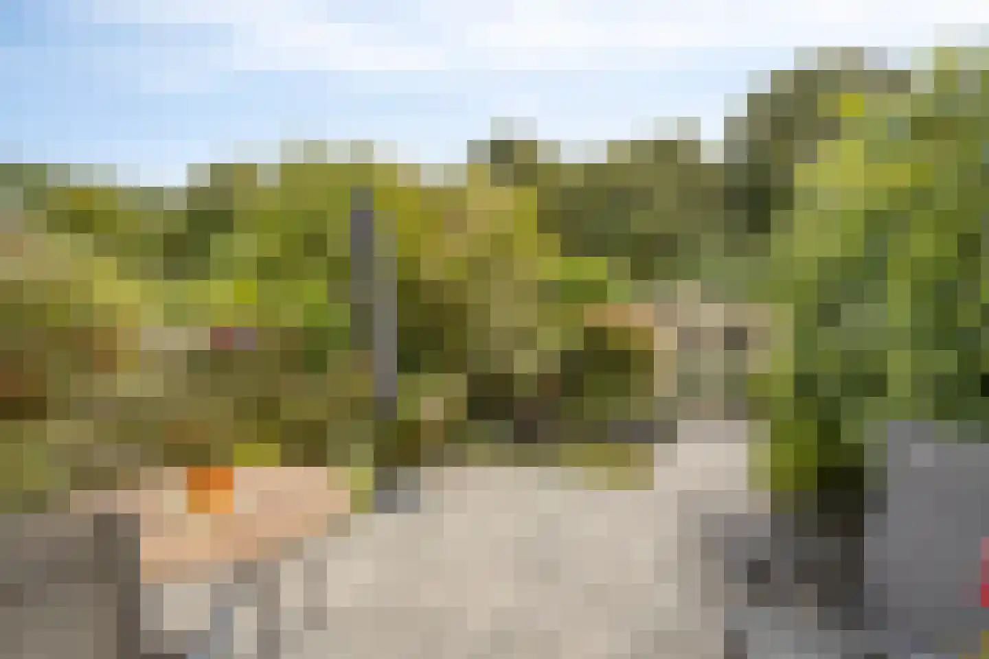 Dassenbos 163 Hoofddorp thumbnail 4