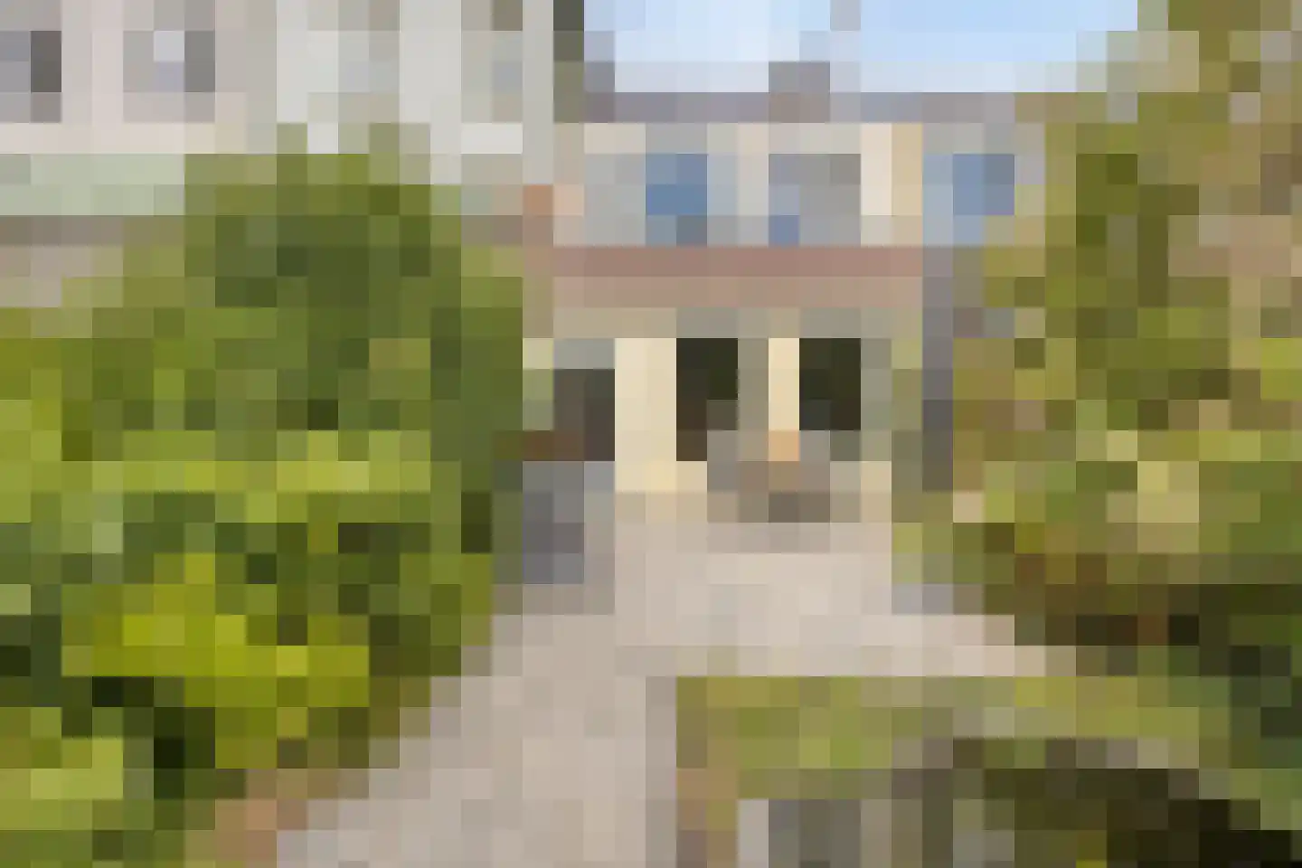 Dassenbos 163 Hoofddorp thumbnail 5
