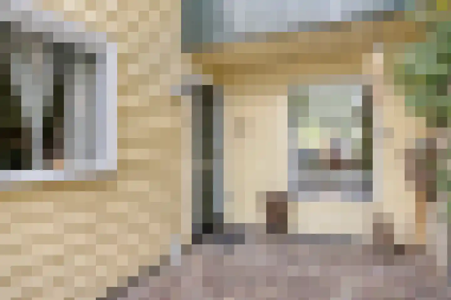 Dassenbos 163 Hoofddorp thumbnail 8