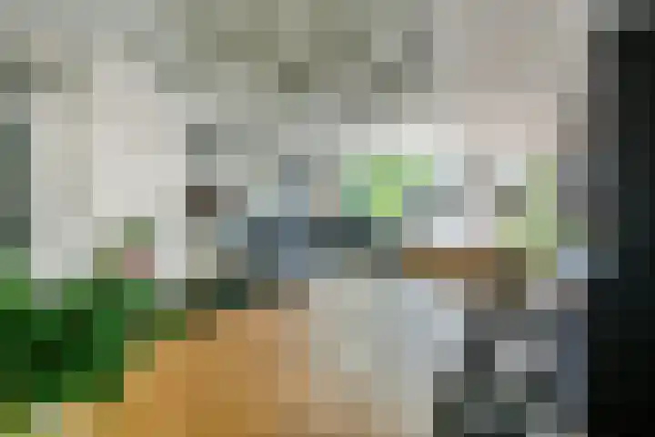 Dassenbos 214 Hoofddorp thumbnail 10