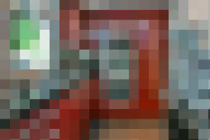 Dassenbos 214 Hoofddorp thumbnail 12