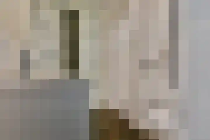 Dassenbos 214 Hoofddorp thumbnail 20