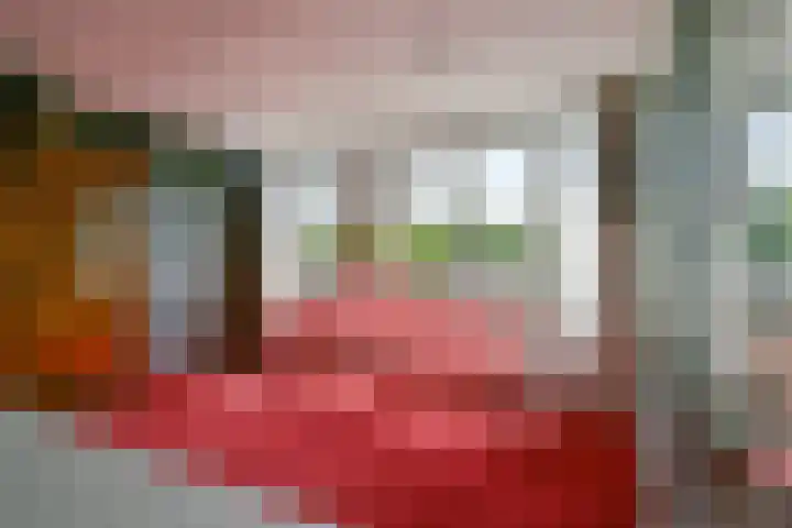 Dassenbos 214 Hoofddorp thumbnail 27