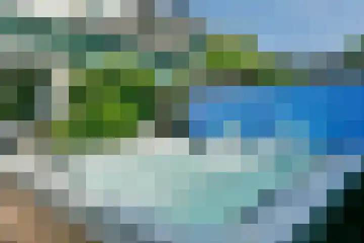 Dassenbos 214 Hoofddorp thumbnail 32