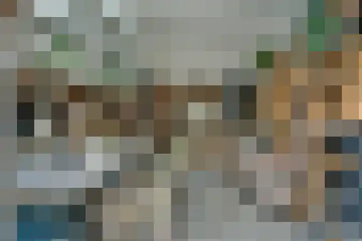Dassenbos 214 Hoofddorp thumbnail 35