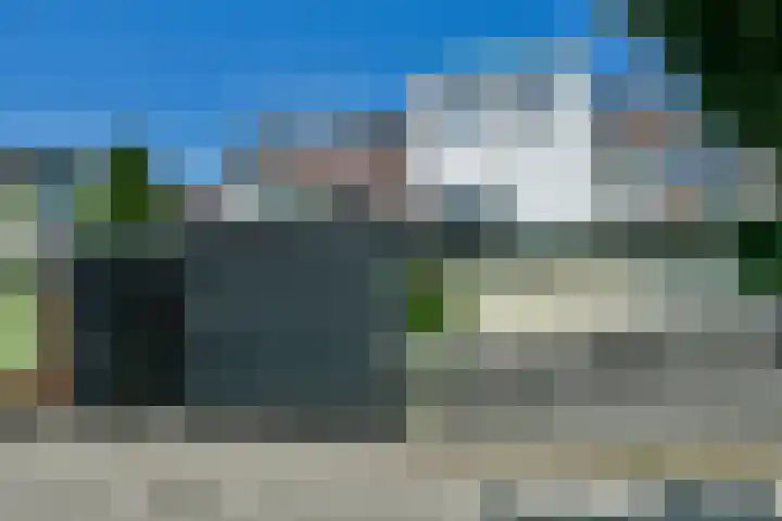 Dassenbos 214 Hoofddorp thumbnail 40