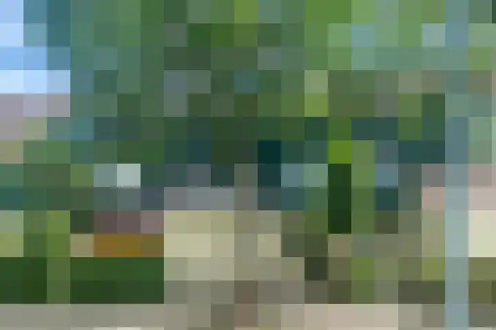 Dassenbos 214 Hoofddorp thumbnail 43