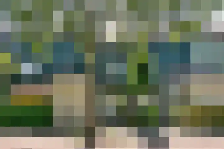 Dassenbos 214 Hoofddorp thumbnail 49