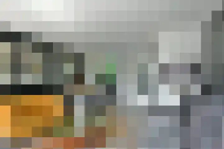 Dassenbos 214 Hoofddorp thumbnail 6