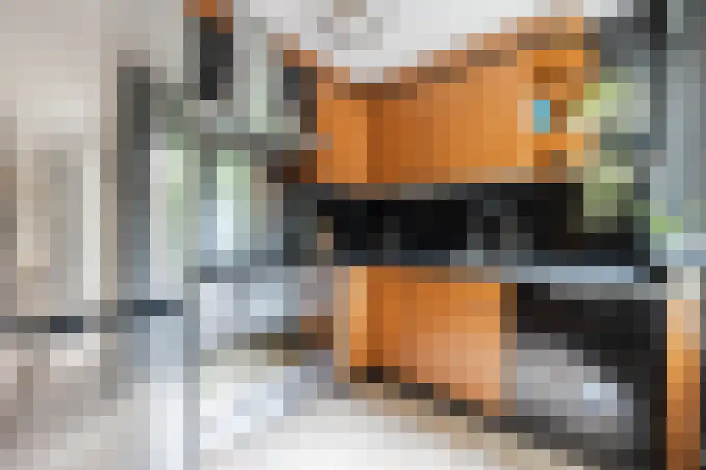 Dassenbos 22 Hoofddorp thumbnail 13