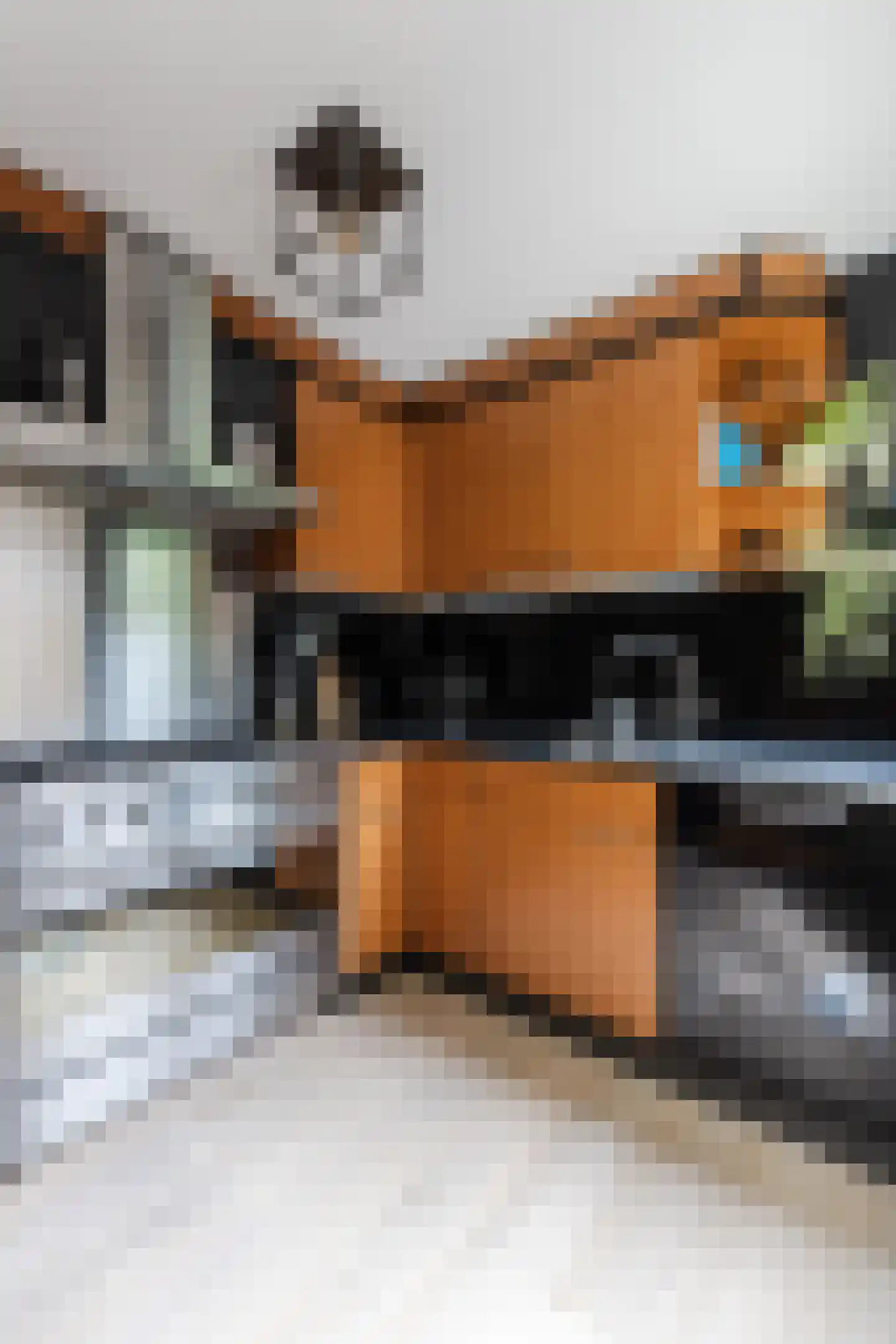 Dassenbos 22 Hoofddorp thumbnail 16