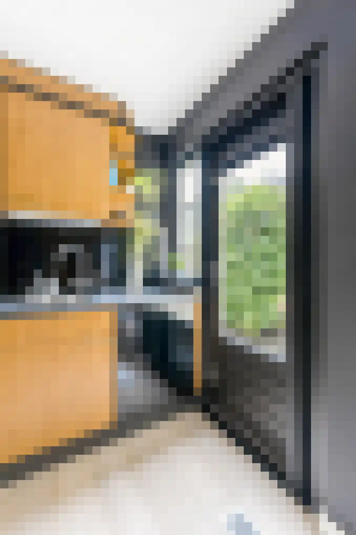 Dassenbos 22 Hoofddorp thumbnail 17