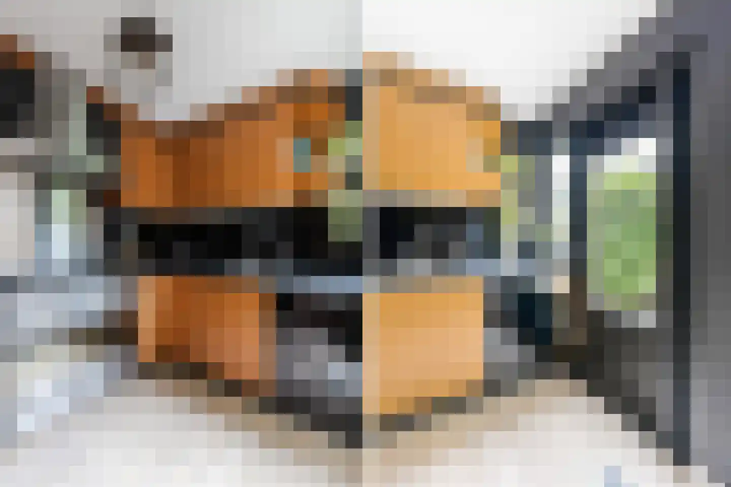 Dassenbos 22 Hoofddorp thumbnail 18