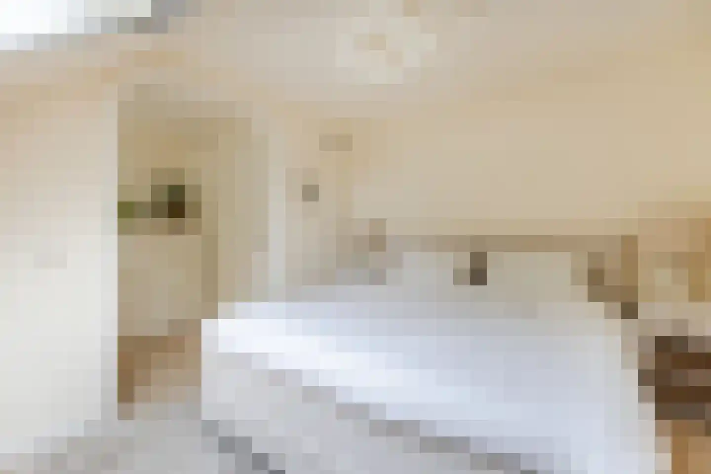 Dassenbos 22 Hoofddorp thumbnail 22