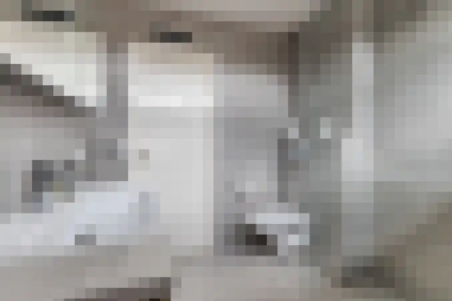 Dassenbos 22 Hoofddorp thumbnail 30