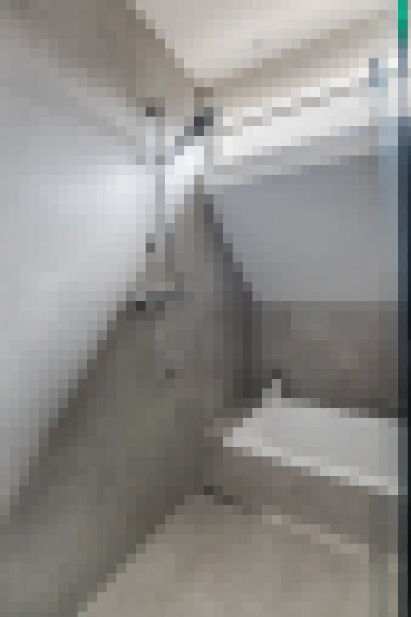 Dassenbos 22 Hoofddorp thumbnail 31