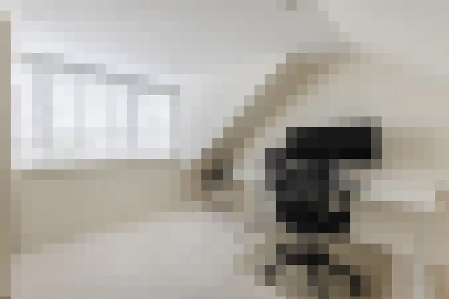 Dassenbos 22 Hoofddorp thumbnail 37