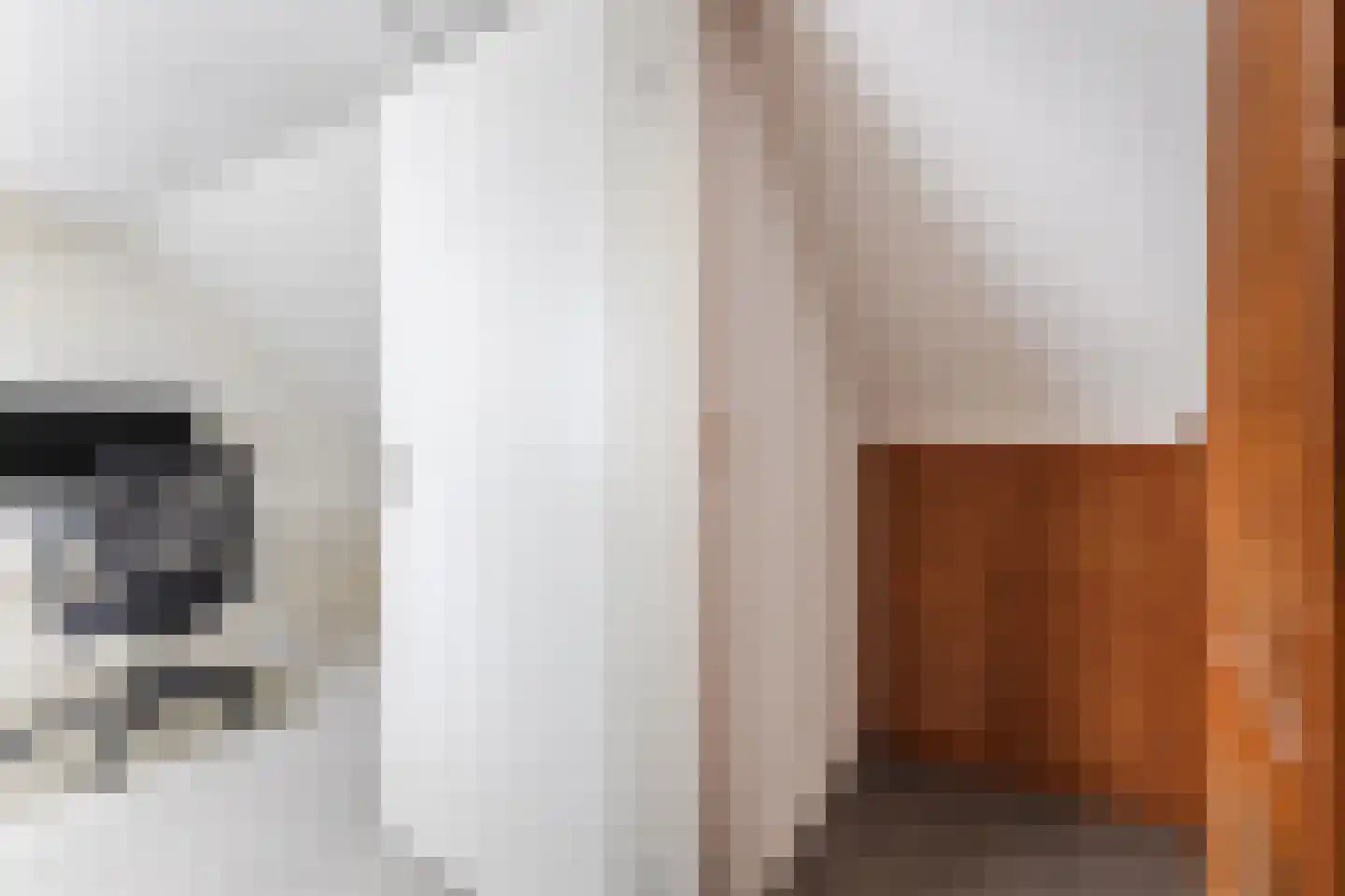 Dassenbos 22 Hoofddorp thumbnail 40