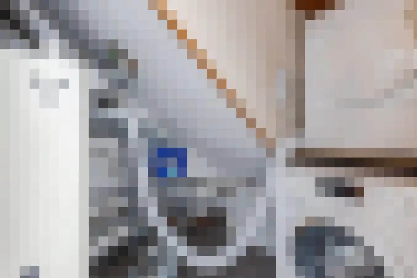 Dassenbos 22 Hoofddorp thumbnail 43