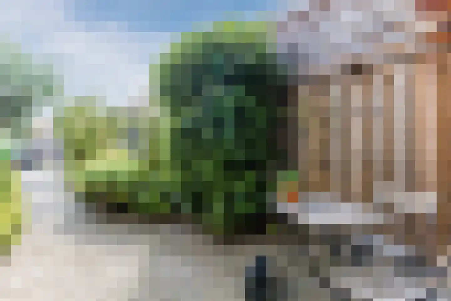 Dassenbos 22 Hoofddorp thumbnail 44